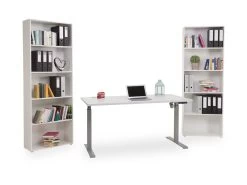 Schreibtischkombi WORK/FIONA