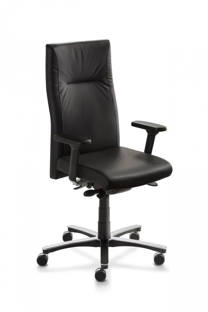 Drehstuhl Mayer Sitzmöbel MyNEW VISION