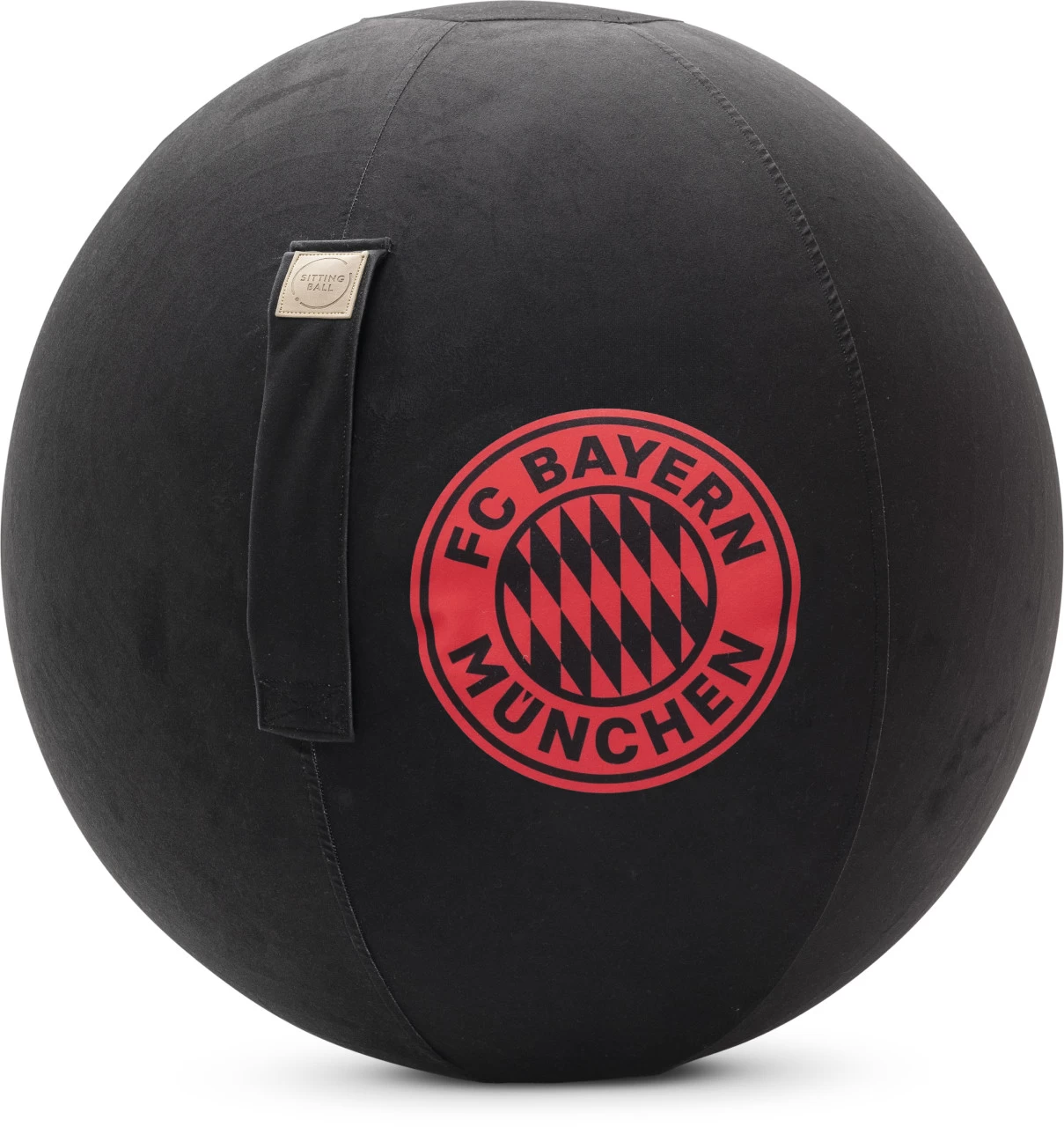 Magma Sitzball FC BAYERN