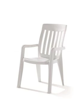 Gartenstuhl SIEGER PALMA